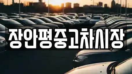 서울 종로구 혜화동 중고차 전문 장안평중고차시장