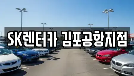 서울특별시 강서구 오곡동 렌트카 전문 SK렌터카 김포공항지점