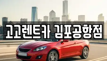 서울특별시 강서구 오곡동 렌트카 전문 고고렌트카 김포공항점