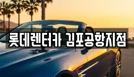 서울특별시 강서구 오곡동 렌트카 전문 롯데렌터카 김포공항지점