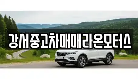 서울특별시 강서구 오곡동 장기렌트카,중고차,렌트카,단기렌트카,중고차매입,중고차매매
