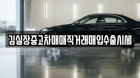 서울특별시 강서구 오곡동 중고차 전문 김실장중고차매매직거래매입수출시세