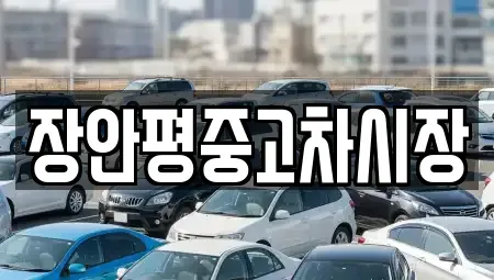 서울특별시 강서구 오곡동 중고차 전문 장안평중고차시장