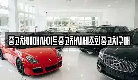 서울특별시 강서구 오곡동 중고차 전문 중고차매매사이트중고차시세조회중고차구매