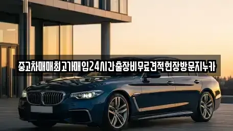 서울특별시 강서구 오곡동 중고차 전문 중고차매매최고가매입24시간출장비무료견적현장방문지누카