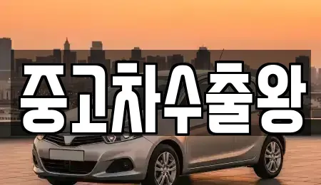 서울특별시 강서구 오곡동 중고차매매 전문 중고차수출왕