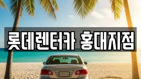 서울특별시 마포구 합정동 단기렌트카 전문 롯데렌터카 홍대지점