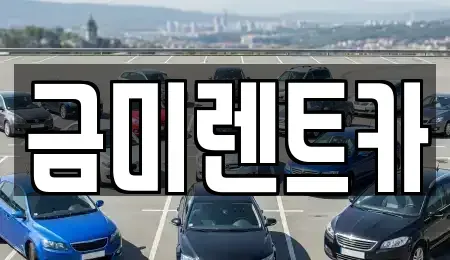 서울특별시 마포구 합정동 렌트카 전문 금미렌트카