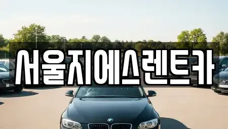 서울특별시 마포구 합정동 렌트카 전문 서울지에스렌트카