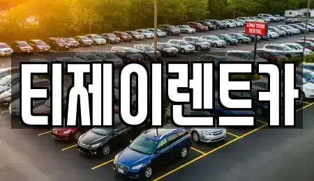 서울특별시 마포구 합정동 렌트카 전문 티제이렌트카