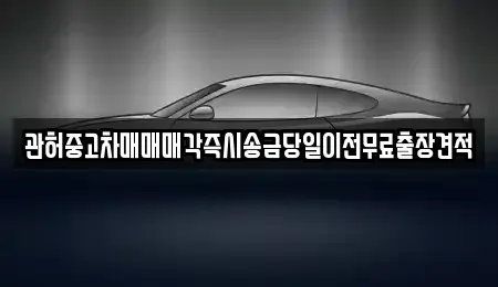 서울특별시 마포구 합정동 중고차 전문 관허중고차매매매각즉시송금당일이전무료출장견적
