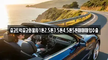 서울특별시 마포구 합정동 중고차 전문 중고트럭중고화물차1톤2.5톤3.5톤4.5톤5톤매매매입수출