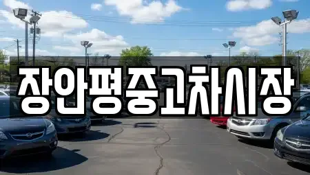 서울특별시 마포구 합정동 중고차매매 전문 장안평중고차시장