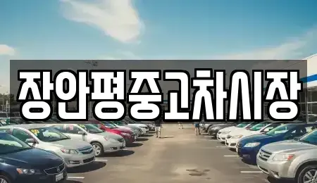 서울특별시 용산구 용문동 중고차 전문 장안평중고차시장