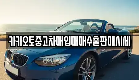 서울특별시 용산구 용문동 중고차매입 전문 카카오토중고차매입매매수출판매시세
