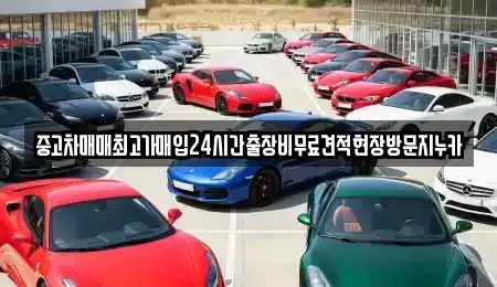 서울특별시 용산구 주성동 중고차 전문 중고차매매최고가매입24시간출장비무료견적현장방문지누카