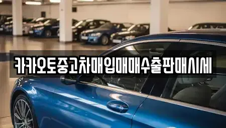 서울특별시 용산구 주성동 중고차매입 전문 카카오토중고차매입매매수출판매시세