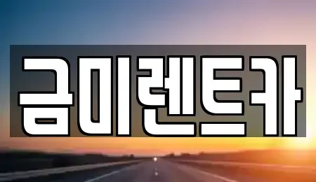 서울특별시 종로구 종로1가 렌트카 전문 금미렌트카