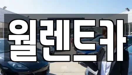 서울특별시 종로구 종로1가 렌트카 전문 월렌트카