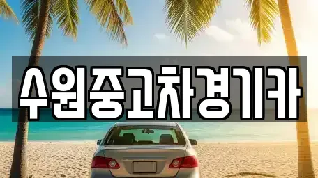 서울특별시 종로구 종로1가 중고차 전문 수원중고차경기카