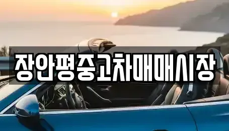서울특별시 종로구 종로1가 중고차 전문 장안평중고차매매시장