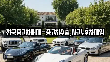 서울특별시 종로구 종로1가 중고차 전문 전국중고차매매-중고차수출,사고노후차매입