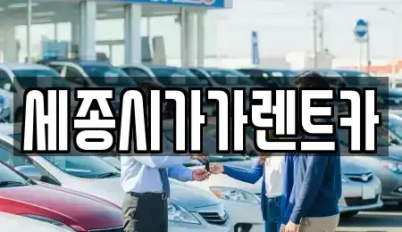 세종 가람동 렌트카 전문 세종시가가렌트카