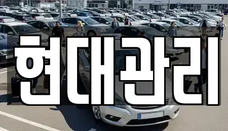 세종 가람동 렌트카 전문 현대관리