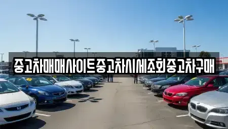 세종 가람동 중고차매매 전문 중고차매매사이트중고차시세조회중고차구매
