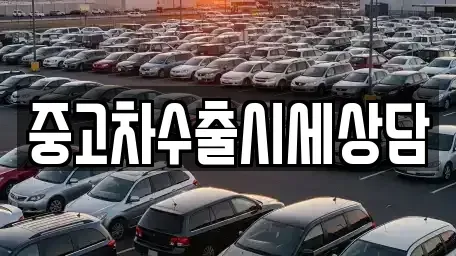 세종 가람동 중고차매매 전문 중고차수출시세상담