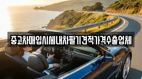 세종 가람동 단기렌트카,중고차매입,중고차매매,중고차,렌트카,장기렌트카
