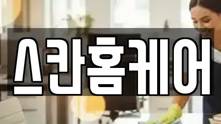 스칸홈케어