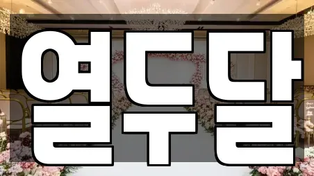 열두달