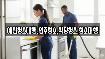 충청남도 홍성군 홍북읍 입주청소 추천 16