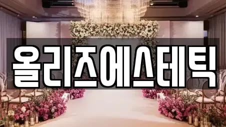올리즈에스테틱