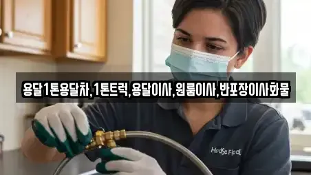 용달1톤용달차,1톤트럭,용달이사,원룸이사,반포장이사화물