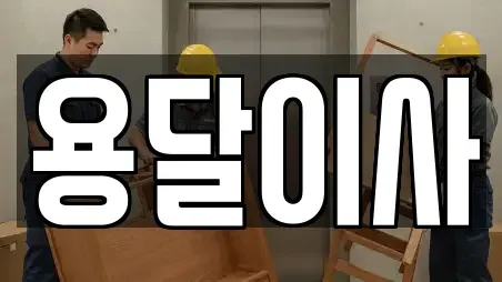 용달이사