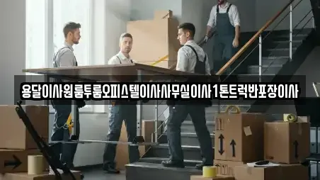사무실이사 전문 김천시 아포읍 11업체