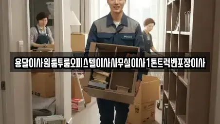 용달이사원룸투룸오피스텔이사사무실이사1톤트럭반포장이사