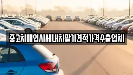 울산 동구 전하동 중고차매입 전문 중고차매입시세내차팔기견적가격수출업체