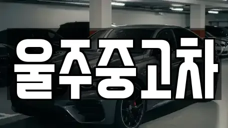 울산 울주군 두서면 중고차,렌트카,중고차매입,중고차매매,장기렌트카,단기렌트카