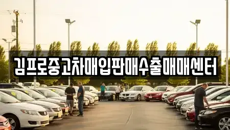 울산광역시 중구 약사동 중고차매입 전문 김프로중고차매입판매수출매매센터