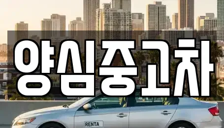 인천 계양구 둑실동 중고차 전문 양심중고차