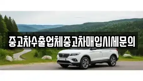 인천 계양구 둑실동 중고차매입 전문 중고차수출업체중고차매입시세문의