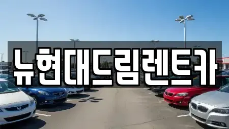 인천 계양구 오류동 렌트카 전문 뉴현대드림렌트카