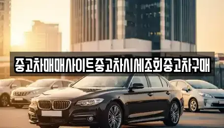 인천 계양구 오류동 중고차 전문 중고차매매사이트중고차시세조회중고차구매