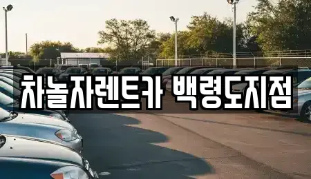인천 옹진군 렌트카,단기렌트카,장기렌트카,중고차,중고차매매,중고차매입