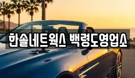 인천 옹진군 렌트카 전문 한솔네트웍스 백령도영업소