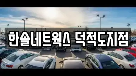 인천 옹진군 자월면 렌트카 전문 한솔네트웍스 덕적도지점