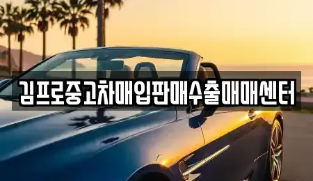 인천 옹진군 중고차 전문 김프로중고차매입판매수출매매센터